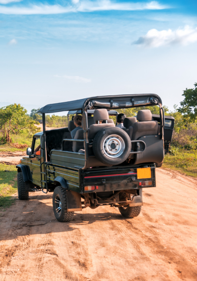 Untitled (400 x 571 px) (1)